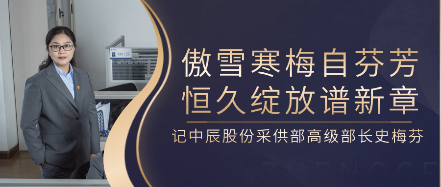 傲雪寒梅自芳香，长期开放谱新章——记凯时集团股份采供部高级部长史梅芬