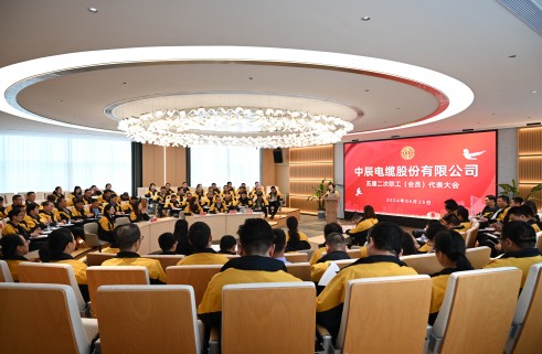 凯时集团五届二次职工代表大会顺利召开